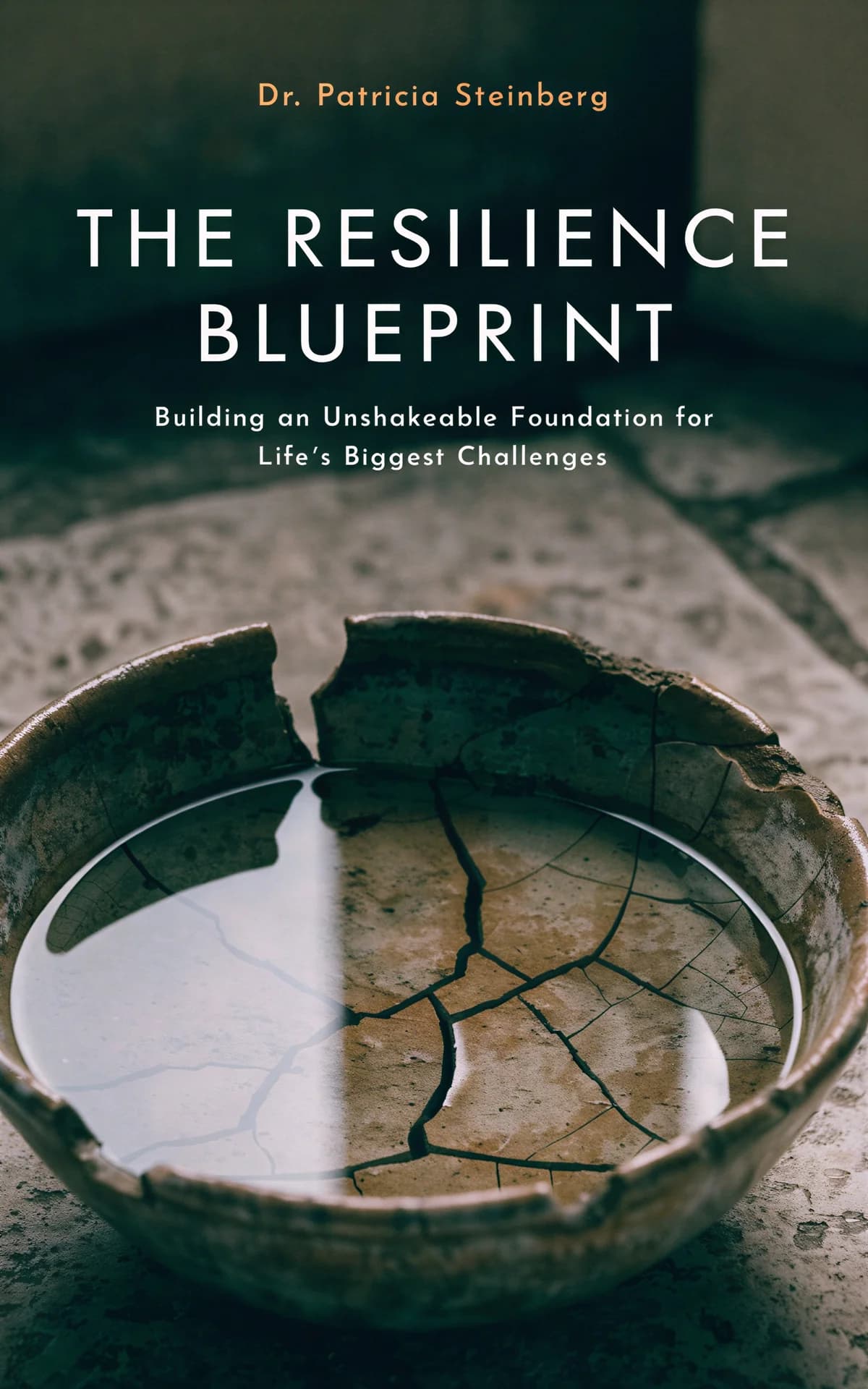 AI book cover generator self-help photo-type: cracked ceramic bowl with water and plant roots symbolizing resilience and foundation for "The Resilience Blueprint".