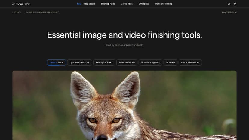 Topaz Labs (Topaz Studio)